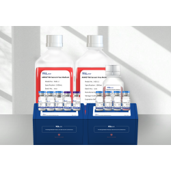 AMMS® High Purity NK Cell Culture Kit 3.0 