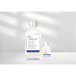 AMMS® MSC Cell Culture Kit 2.0