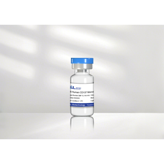 Anti-Human CD137 mAb