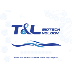 AMMS® MSC Cell Culture Kit 2.0