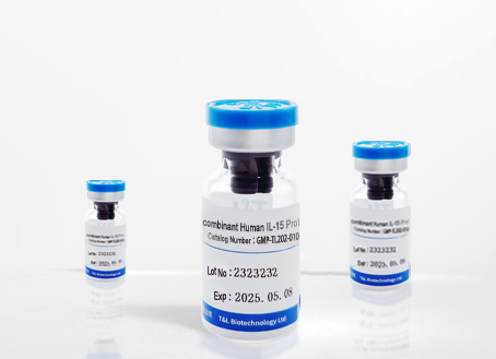 Recombinant Human SCF Protein