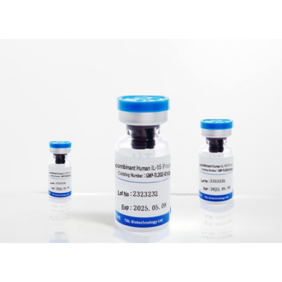 Recombinant Human IFN-γ Protein Recombinant Human IFN-γ Protein