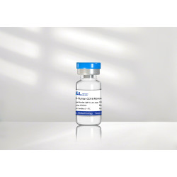 Anti-Human CD20 mAb