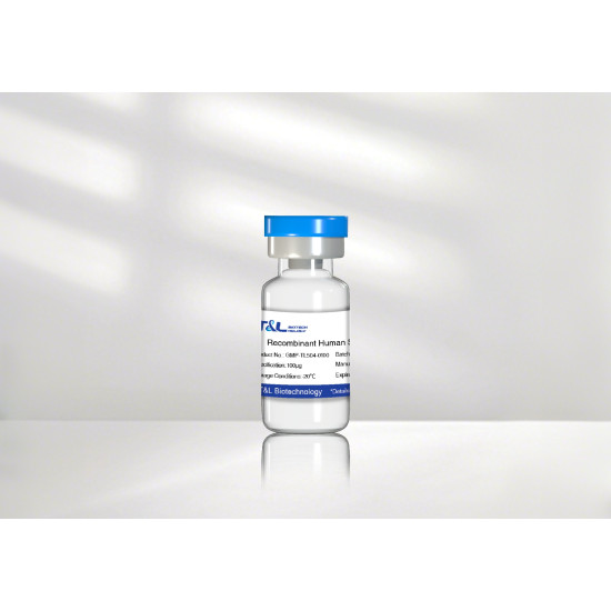 Recombinant Human SCF Protein