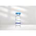 Recombinant Human IL-12 Protein