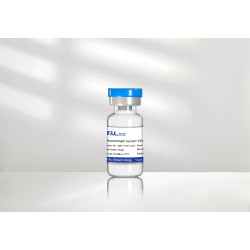 Recombinant Human Vitronectin Protein