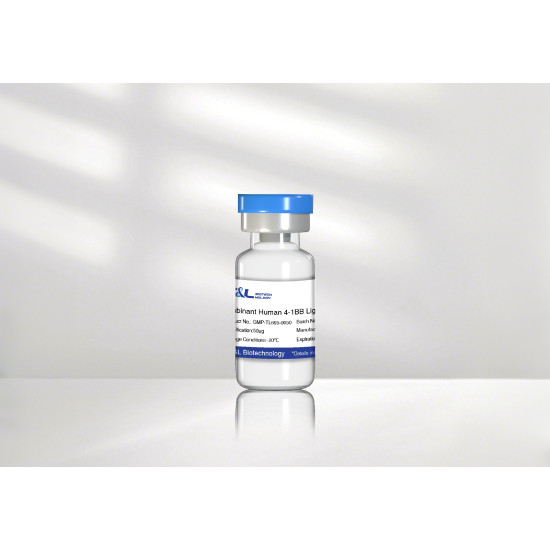 Recombinant Human 4-1BB Ligand Protein