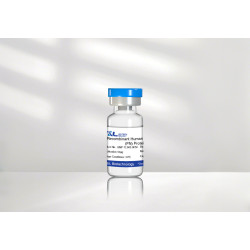 Recombinant Human Fibronectin(FN) Protein
