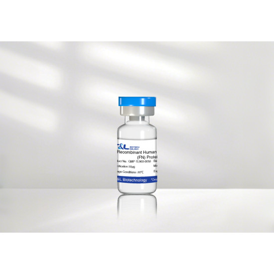 Recombinant Human Fibronectin(FN) Protein