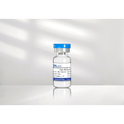 Recombinant Human IL-2 Protein