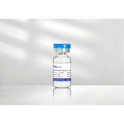 Recombinant Human IL-1β Protein