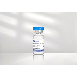 Recombinant Human BMP-4 Protein