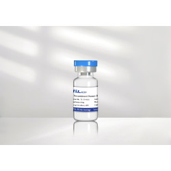 Recombinant Human BDNF Protein