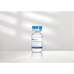 Recombinant Human GDNF Protein