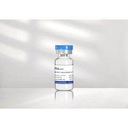 Recombinant Human Activin A Protein