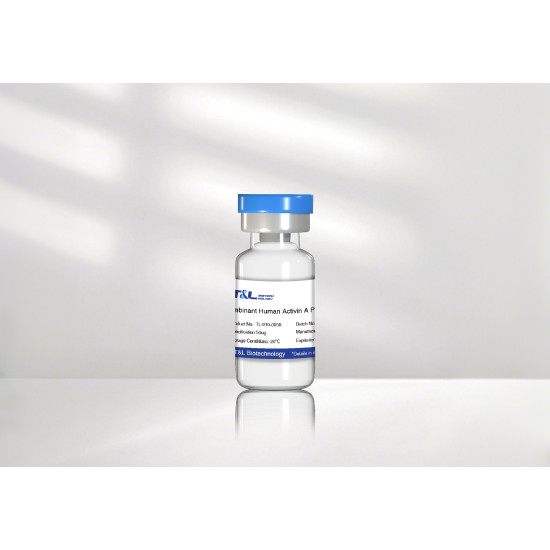 Recombinant Human Activin A Protein