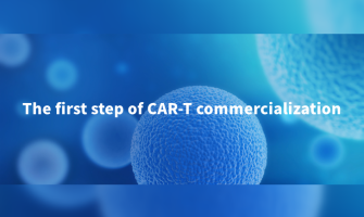 Good news | T&L cell therapy key materials have been registered with FDA DMF, helping your drug application process