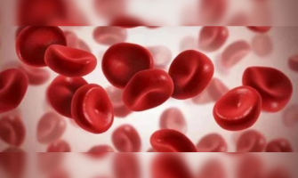 Summary of protein factors involved in hematopoietic stem cell culture