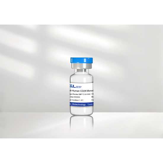Anti-Human CD28 mAb