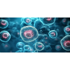 Human Platelet Lysate