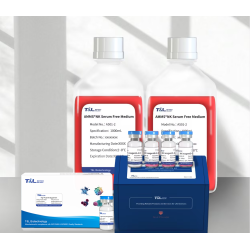 AMMS® High Purity NK Cell Culture Kit 2.0 
