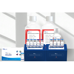 AMMS® High Purity NK Cell Culture Kit 3.0 