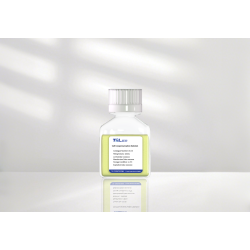 Cell Cryopreservation Solution