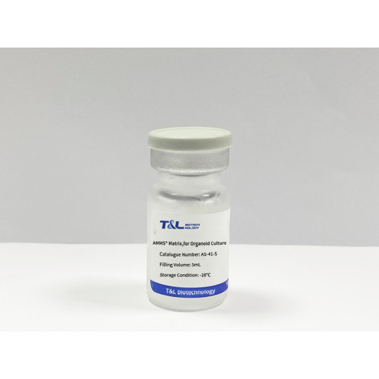 AMMS® Matrix, for Organoid Culture