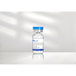 Recombinant Human bFGF Protein