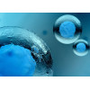 Monoclonal Antibodies