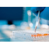 Cell Separation Magnetic Beads