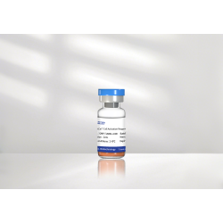 ActCel T Cell Activation Reagent
