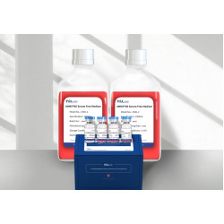AMMS® NK Cell Culture Kit 2.0