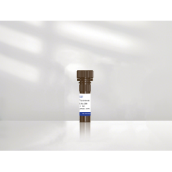 MaxSortin®CD138 beads