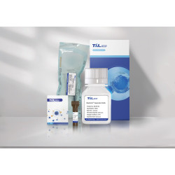 MaxSortin®TCR αβ Isolation Kit